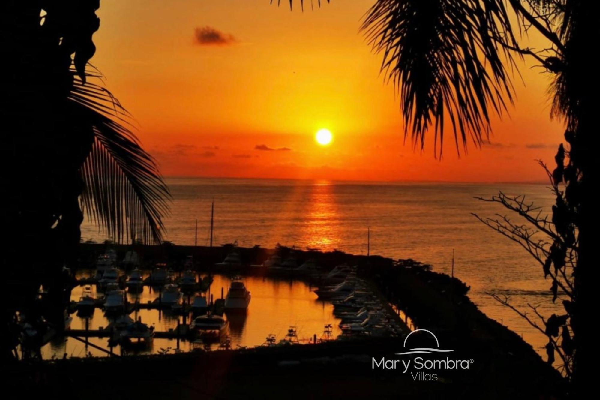 Mar Y Sombra Villas Quepos Exteriör bild